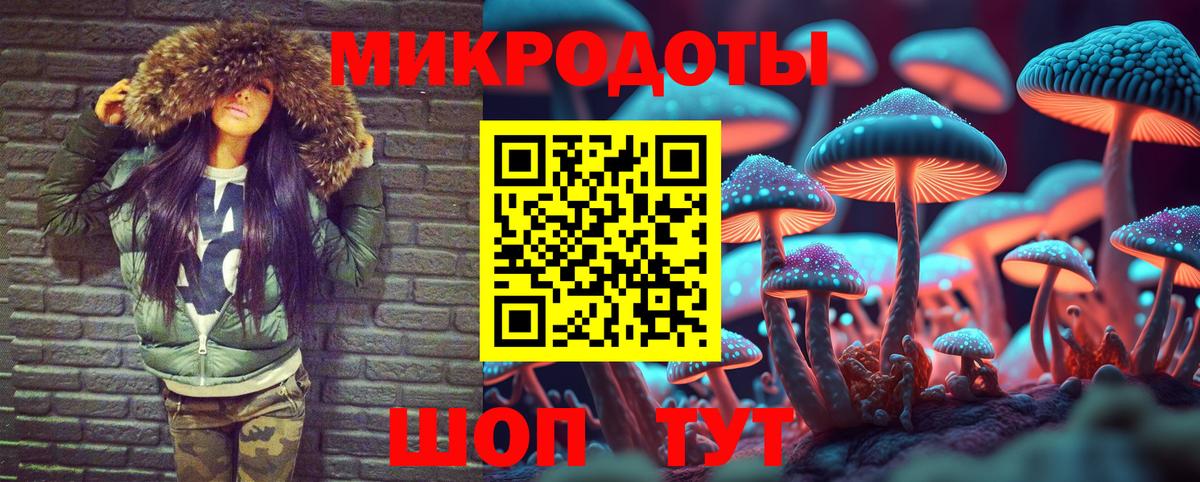 Торжок  сколько стоит  Вход с VPN  Псилоцибиновые грибы GOLDEN TEACHER 